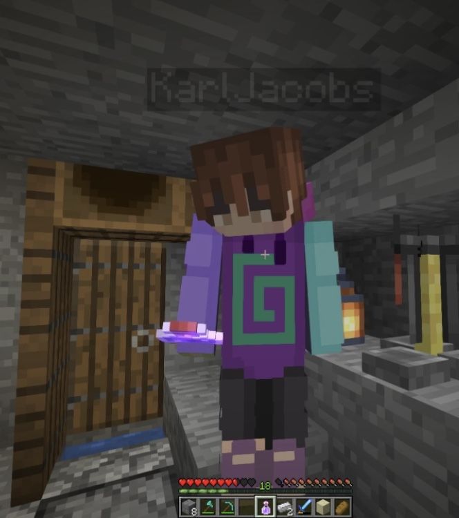 Featured image of post Karl Jacobs Minecraft Skin Dream Smp